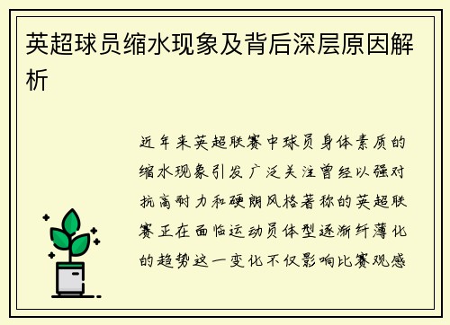 英超球员缩水现象及背后深层原因解析